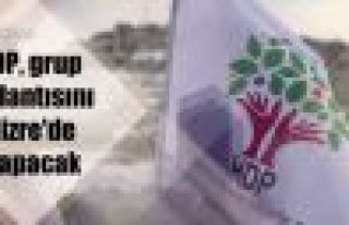 HDP, grup toplantısını Cizre'de yapacak