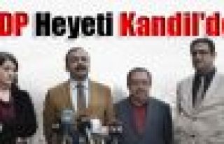 HDP Heyeti Kandil'de