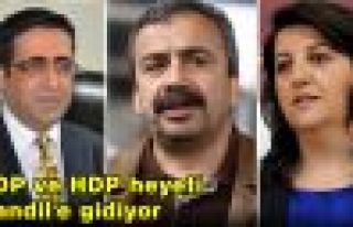 HDP Heyeti KCK ve Öcalan ile görüşecek