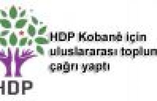 HDP Kobani için uluslararası topluma çağrı yaptı
