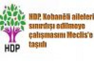 HDP, Kobanêli ailelerin sınırdışı edilmeye çalışmasını...