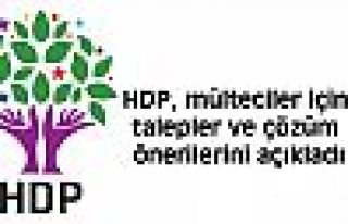 HDP, mülteciler için talepler ve çözüm önerilerini...