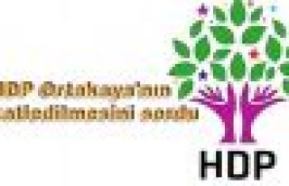 HDP Ortakaya'nın katledilmesini sordu