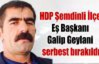 HDP Şemdinli İlçe Eş Başkanı Galip Geylani serbest...