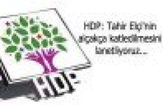 HDP: Tahir Elçi'nin alçakça katledilmesini lanetliyoruz...