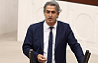 HDP Van Milletvekili Botan'a 40 yıl hapis istemi