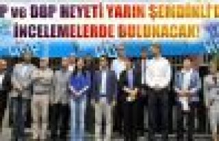 HDP ve DBP heyeti yarın Şemdinli'de incelemelerde...