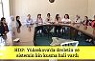 HDP: Yüksekova'da devletin ve sistemin kin kusma...