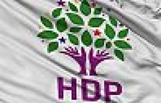 HDP'de erkek eş başkan için 5 aday