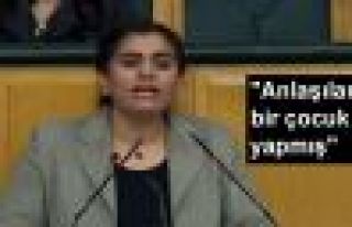 HDP'den bayrak açıklaması!