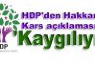 HDP'den Hakkari ve Kars açıklaması: 'Kaygılıyız'