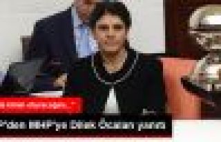 HDP'den MHP'ye Dilek Öcalan Yanıtı
