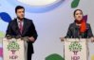 HDP'den PKK'ye ateşkes çağrısı