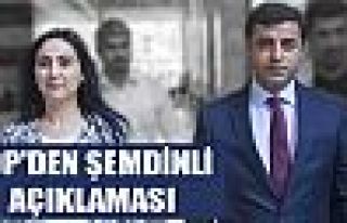 HDP'den Şemdinli açıklaması