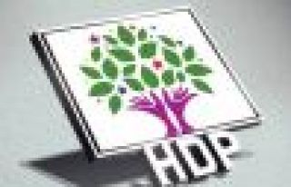 HDP'den yargısız infazlar için BM'ye başvuru