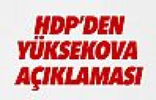 HDP'den Yüksekova açıklaması