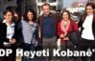 HDP'li 10 milletvekili Kobani'ye geçti