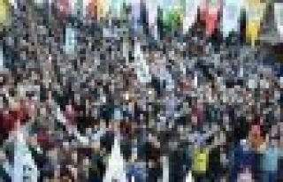 HDP'li adaylardan, miting, büro açılış ve ziyaret