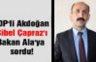 HDP'li Akdoğan, Sibel Çapraz'ı Bakan Ala'ya sordu
