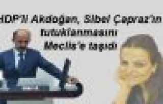 HDP'li Akdoğan, Çapraz'ın tutuklanmasını Meclis'e...