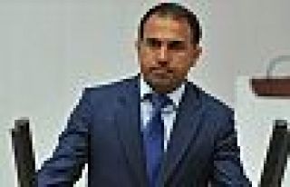 HDP'li Atalan: Ezidilerin göç etme sebepleri araştırmalı