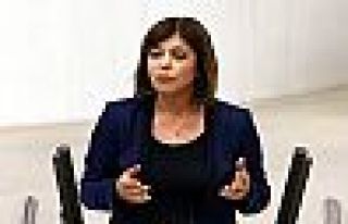 HDP'li Beştaş: Pasaportlar iade edilmedi