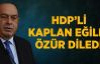 HDP'li Kaplan, Genel Kurul'da Özür Diledi