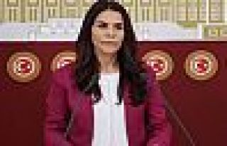 HDP'li vekil Besime Konca tutuklandı