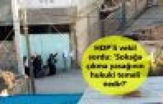 HDP'li vekil sordu: 'Sokağa çıkma yasağının...