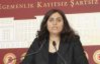 HDP'li vekiller: Meclis IŞİD saldırıları için...