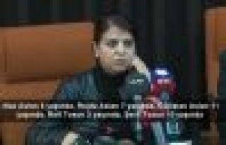 HDP'li Yiğitalp, Sur'da bodrumdakilerle görüşme...