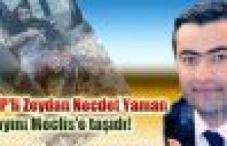 HDP'li Zeydan Necdet Yaman olayını Meclis'e taşıdı!