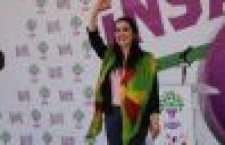 HDP'liler Kobani Kantonu'nu ziyaret etti