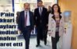 HDP'nin Hakkari adayları Şemdinli esnafını ziyaret...