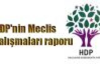 HDP'nin Meclis çalışmaları raporu