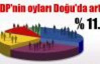 HDP'nin oyları Doğu'da arttı