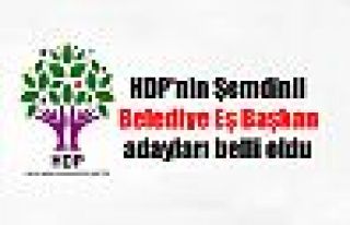 HDP'nin Şemdinli Belediye Eş Başkan adayları belli...