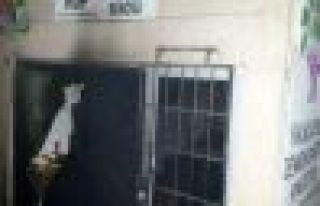 HDP'ye 3’ü bombalı 168 saldırı yapıldı