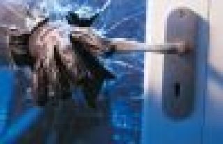 Hırsızlık Son 4 Yılda Yüzde 63 Arttı