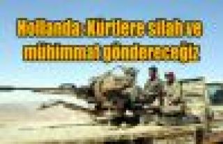 Hollanda: Kürtlere silah ve mühimmat göndereceğiz