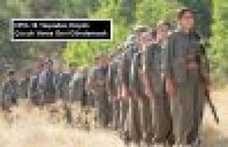 HPG 16 Yaşından Küçük Çocuk Varsa Geri Gönderecek