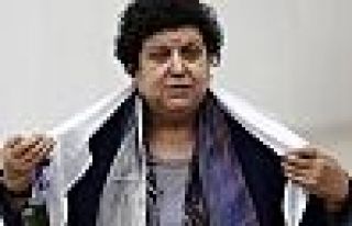 Hurşit Külter'i soran CHP'li Sarıhan: Zorla kaybetme...