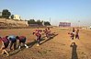 İdil: 100 bin nüfus var ama minyatür kale bile...