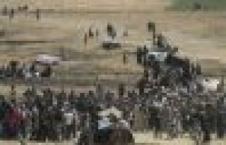 İHD: Türkiye'de 1 milyon 800 bin mülteci var