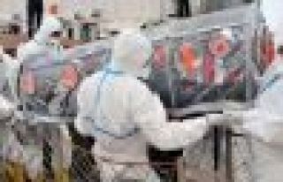 İki kişi daha domuz gribinden öldü