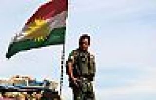 İngiltere'de Kürdistan tartışması: Göz yumdunuz
