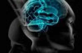 İnsan beyninin kapasitesi açıklandı