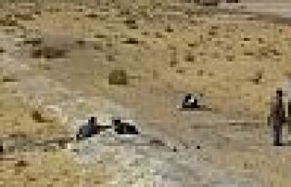 İnsana ait en eski kalıntı bulundu!