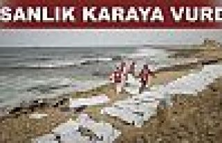 İnsanlık karaya vurdu