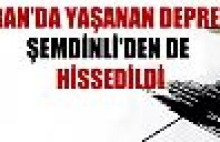 İran'da yaşanan deprem Şemdinli'den de hissedildi